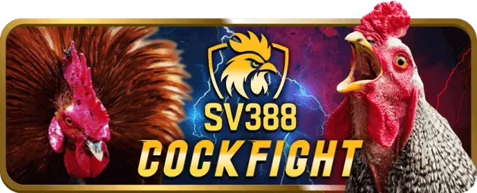 Hệ thống bảo mật b99
