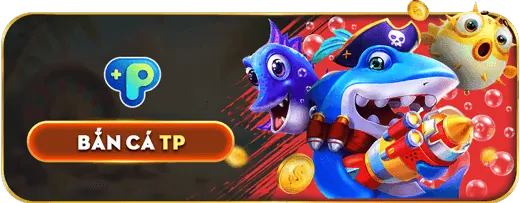 Phân tích Hiệu suất b99