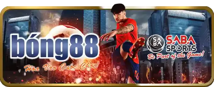 Quy trình xác minh tài khoản
